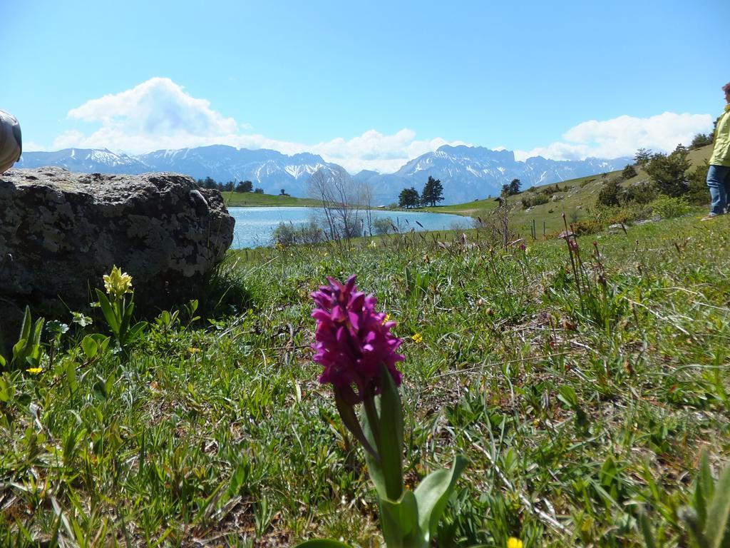 Отель Vvf Les Ecrins Champsaur Сен-Бонне-ан-Шансор Экстерьер фото